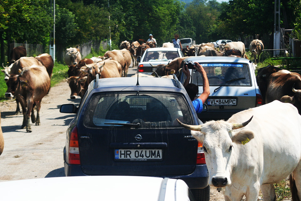 Még ehhez hasonló, váratlan akadályok is nehezítették a haladásunkat.