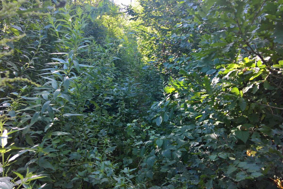 Erre vezet a kéktúra útvonal