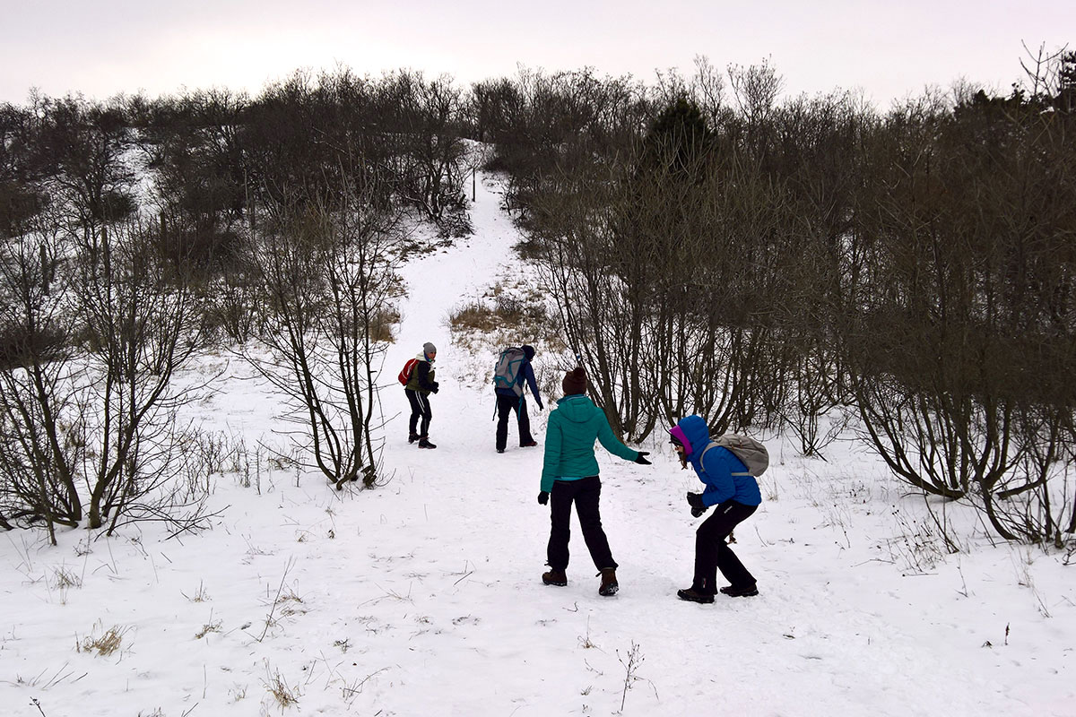 Egy kis spontán hógolyózás