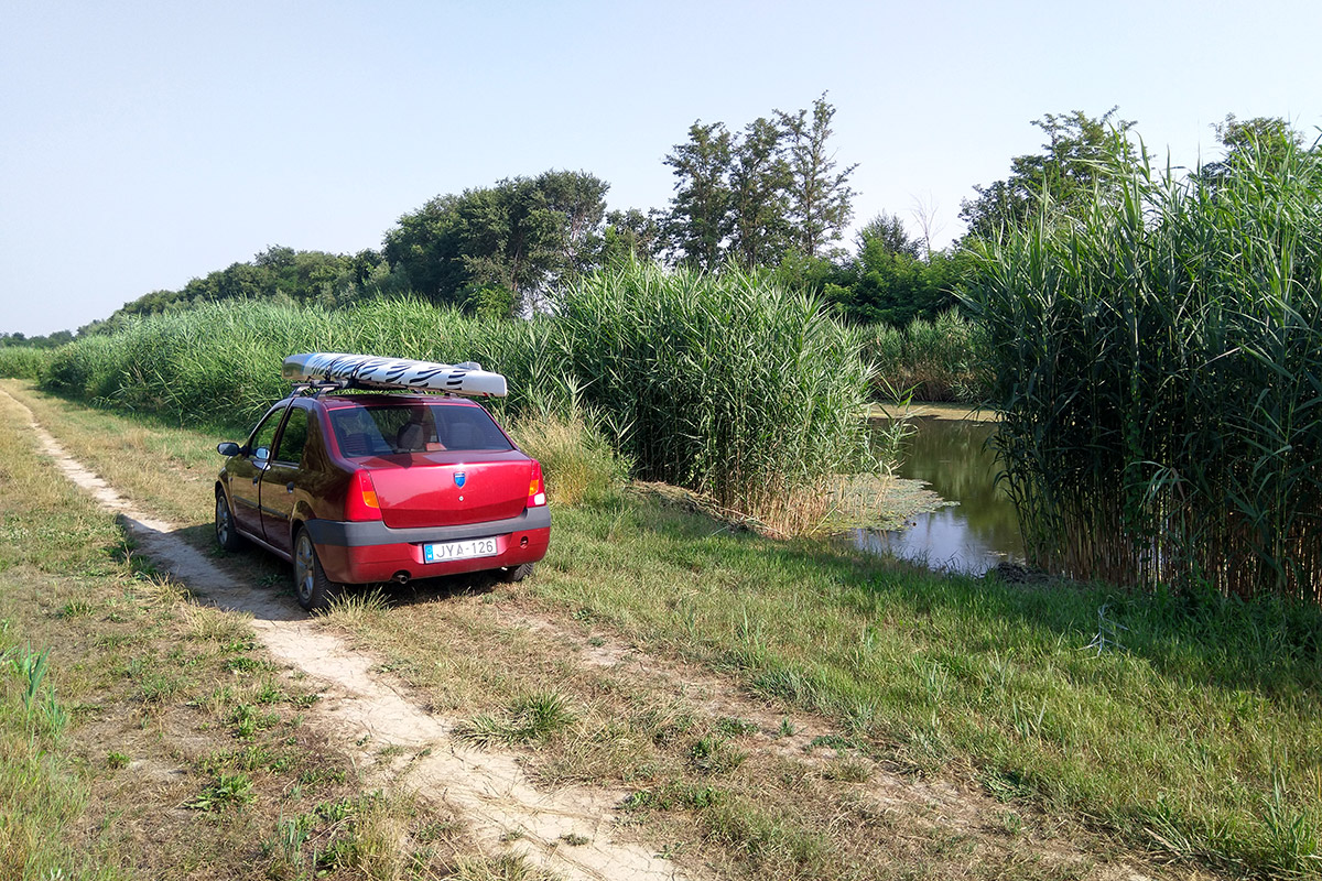 Egy foghíj a nádasban Cservenka és Sivac között